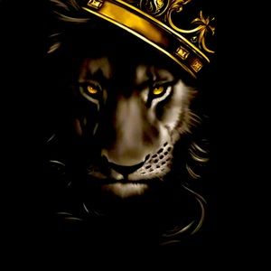 Meet your Posher, Jacque